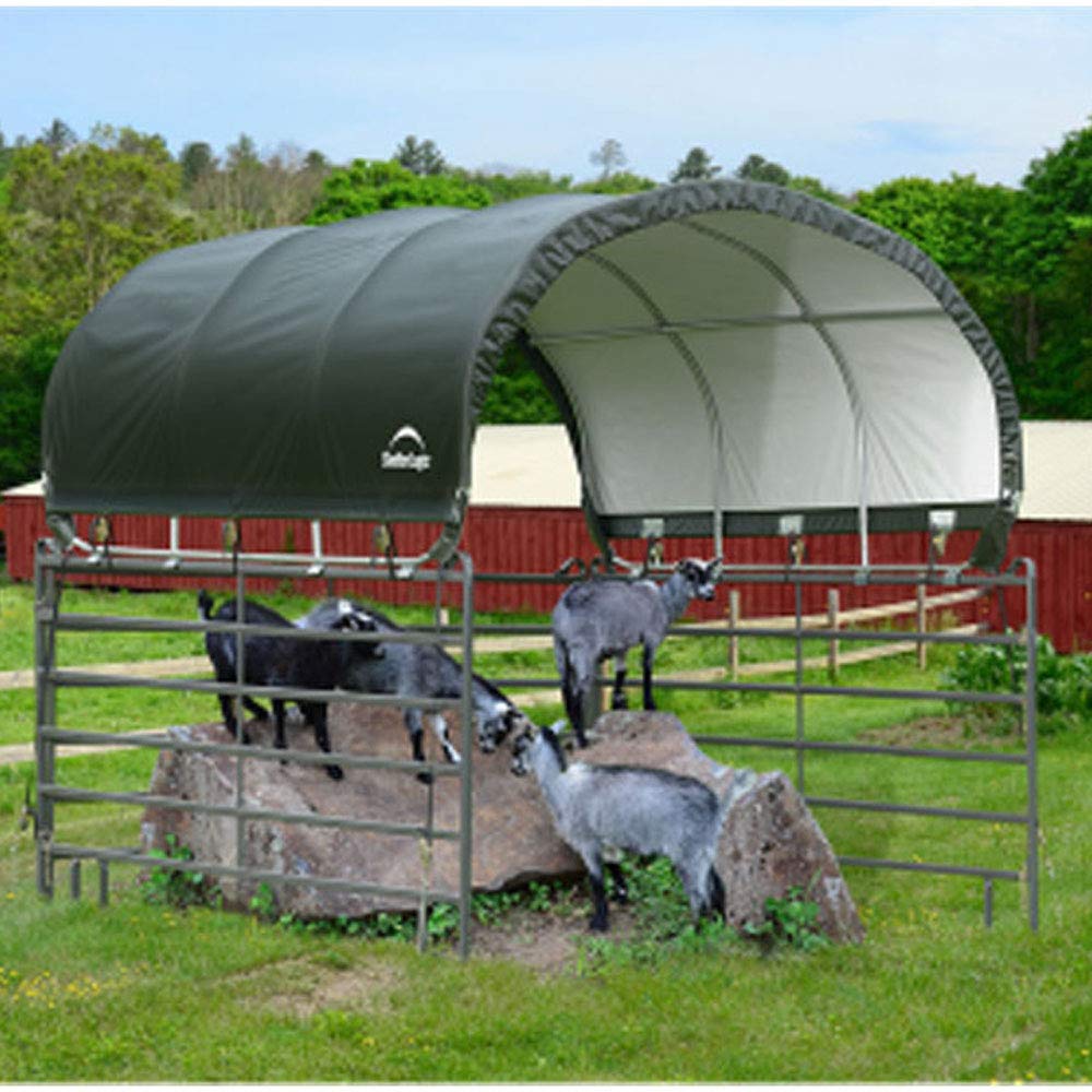 ShelterLogic 10' x 10' Powder Coated Green Corral Shelter Livestock Shade - Image 4