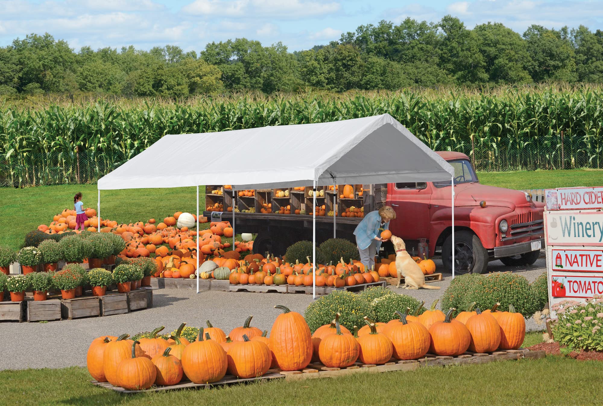 ShelterLogic 10' x 20' AccelaFrame Heavy Duty Steel Frame Quick and Easy Set-Up Canopy - Image 3